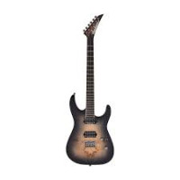 pro plus dlx sl2p hh ht - nat
